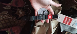 Нашийник для собак водостійкий WAUDOG Waterproof c QR паспортом металічна пряжка-фастекс Ш 20 мм Дов 28-40 см Блакитний (27932Collar) фото від покупців 1