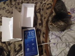 Мобільний телефон ZTE Blade A71 3/64 GB Blue (851599) фото від покупців 1