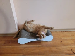 Кігтеточка дряпка з гофрокартону лежанка для котів з картонним фасадом Cat Joy Modern Whitish 54x13x25 см