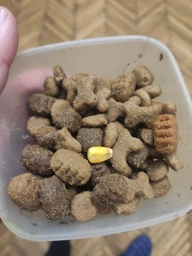 Сухой корм Purina Friskies для активных собак с говядиной 10 кг