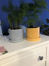 Керамічний горщик для рослин Mini Plant 9x11,5см Циліндр Смарагдовий фото від покупців 2