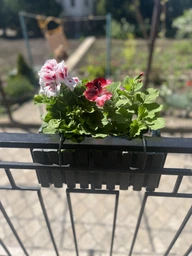 Балконий ящик підвісний Boardee FencyCase 60 см Антрацит (DDEF600W-S433)