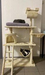 Ігровий комплекс (дряпка), будиночок для кота 140х75×40 см Avko CatTree сіра 1950 - кілька платформ для лазання та ігор, будиночок для відпочинку, лежак фото від покупців 6
