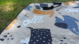 Килимок для пікніка Naturehike Picnic mat M 170*200 NH21FCD01 Dogs
