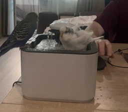 Поилка для животных Pet Water FOUNTAIN Автоматическая поилка - фонтан