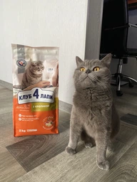 Сухий корм для дорослих котів Club 4 Paws Premium 14 кг.