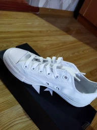 Женские кеды низкие Converse Ct As Sp Ox 1U647 36 (3.5) 22.5 см Белые (22861539895)