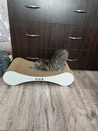 Кігтеточка дряпка з гофрокартону лежанка для котів з картонним фасадом Cat Joy Modern Whitish 54x13x25 см фото від покупців 1