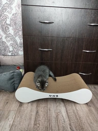 Кігтеточка дряпка з гофрокартону лежанка для котів з картонним фасадом Cat Joy Modern Whitish 54x13x25 см фото від покупців 2