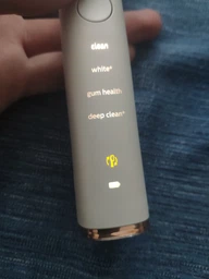 Насадки для зубной щетки PHILIPS Sonicare HX9042/17 C3 Premium Plaque Control фото от покупателей 12