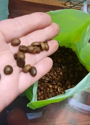Кава в зернах Primo Exclusive Hazelnut 100% арабіка з ароматизатором Лісовий Горіх