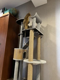 Высокий кошачий комплекс когтеточка с домом, гамаком для котов мелких и средних пород 190х80х60см бежево коричневый фото от покупателей 2