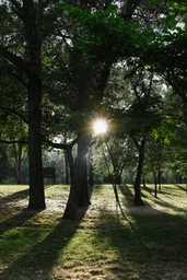 Canon EF-S 24mm f/2.8 STM фото от покупателей 10