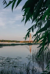Canon EF-S 24mm f/2.8 STM фото от покупателей 7