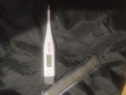 Термометр електронний Gamma Thermo Base фото від покупців 3