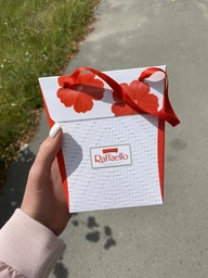Конфеты Raffaello 230 г (8000500290088)