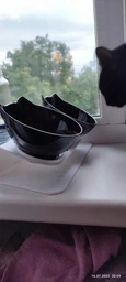 Миска для кота двойная с нескользящей наклонной подставкой из ABS пластика Feeding Bowl прозрачная (FВ-26428) фото от покупателей 3