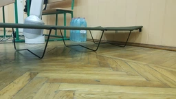Розкладачка військова польова Sturm Mil-Tec Olive 180x60x19 (14406000)