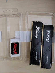 Оперативная память Kingston Fury DDR4-3600 16384MB PC4-28800 (Kit of 2x8192) Beast Black (KF436C17BBK2/16)