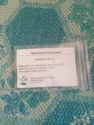 Хлопок семена (10 шт) (Gossypium hirsutum) хлопчатник обыкновенный сухоцвет