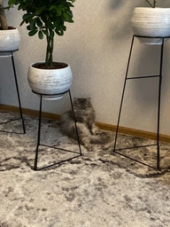 Комплект металлических подставок для цветов и вазонов Adore Décor "Скандинавские", черный фото от покупателей 7