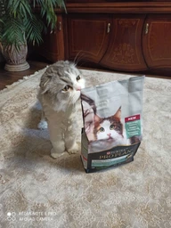 Сухой корм PRO PLAN LiveClear Sterilised Adult для см. аллерг, для стерил. котов, индейка 1,4 кг (7613287232564) фото от покупателей 8