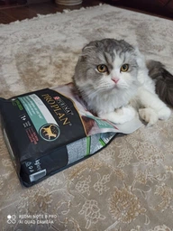 Сухой корм PRO PLAN LiveClear Sterilised Adult для см. аллерг, для стерил. котов, индейка 1,4 кг (7613287232564) фото от покупателей 7