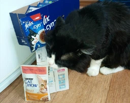 Вологий корм Purina Felix суп для кішок з яловичиною 48 г фото від покупців 5
