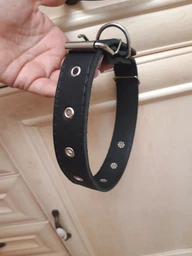 Ошейник для собак безразмерный CoLLaR (4820082491727) фото от покупателей 5