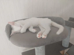 Стильная когтеточка с домиком игровой комплекс для кошек, котов всех пород 190х80х60см серо бежевая фото от покупателей 3
