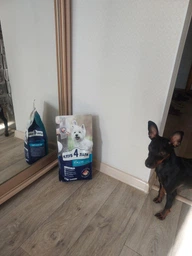 Cухий корм CLUB 4 PAWS PREMIUM Клуб 4 лапи ягня і рис для дорослих собак малих порід, 2 кг