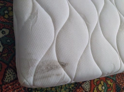 Ортопедический матрас Smart Mattresses Soft 160х200 см (ROZ6400060189) фото от покупателей 2