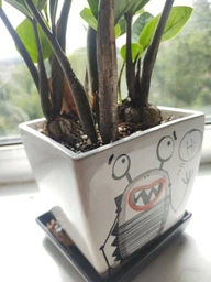 Набір для пересадки сукулентів з дренажем Mini Plant