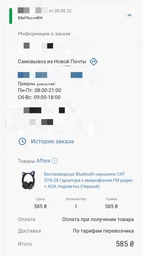 Беспроводные Bluetooth наушники CAT STN-28 Гарнитура с микрофоном FM радио + AUX, подсветка (Синий)