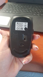 Мышь Canyon MW-9 Silent Wireless Gray (CNS-CMSW09DG) фото от покупателей 2