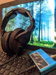 Наушники Sennheiser HD 280 PRO (506845) фото от покупателей 4