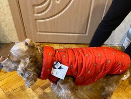 Курточка для тварин WAUDOG Clothes "Супермен червоний" XS 30 (0930-4007)