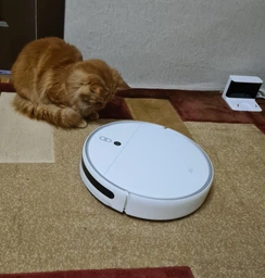 Робот пылесос Xiaomi Mi Robot Vacuum-Mop 2 фото от покупателей 8