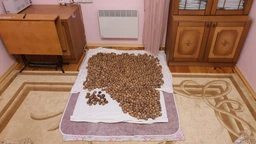 Электропростынь YASAM 120x160 Турция, мятная