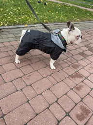 Комбинезон Collar AiryVest One для собак, размер L 50 Розовый (24237) фото от покупателей 17