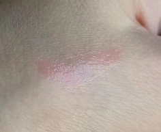 Блеск для увеличения объема губ Eveline Oh! My Lips – Lip Maximizer Пчелиный яд 4.5 мл (5903416001898)