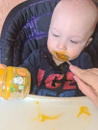 Пюре гомогенизированное овощное Gerber Тыква для детей с 6 месяцев 80 г (7613287348173)