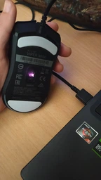 Мышь Razer Viper Mini USB Black (RZ01-03250100-R3M1) фото от покупателей 7