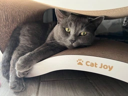Когтеточка из картона усиленного с деревянным фасадом Cat Joy Fusion Beige 77x29x29 см фото от покупателей 11