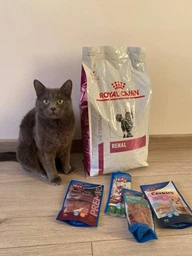 Royal Canin Renal (Роял Канін Ренал) корм для кішок із хронічною нирковою недостатністю 4 КГ фото от покупателей 5