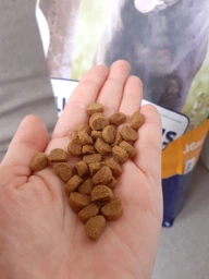 Сухий корм Клуб 4 лапи Club 4 Paws для контролю ваги собак малих порід стерилізованих або схильних до надлишкової ваги індичка 5 кг фото від покупців 1