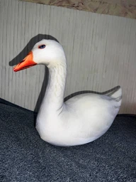 М'яка іграшка антистрес WONKEY Гусак Віктор 50см 33013 фото від покупців 5