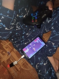 Беспроводной геймпад Canyon Wireless Gamepad 4-in-1 (CND-GPW3) фото от покупателей 5