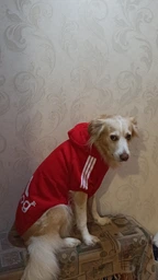 Толстовка для собак Adidog 5XL Рожевий фото від покупців 1