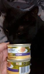 Упаковка влажного корма для кошек Purina Gourmet Gold Паштет с индейкой 24 шт по 85 г фото от покупателей 9